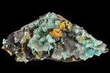 Rosasite, Aurichalcite and Selenite Crystal Association - Utah #109823-1